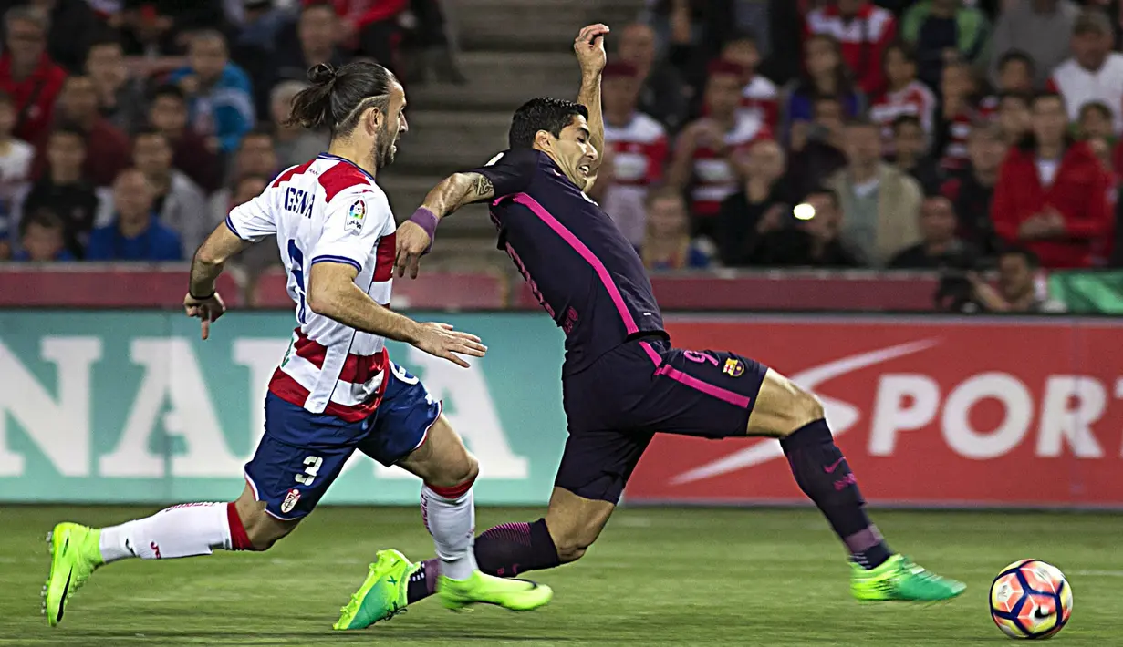 Striker Barcelona, Luis Suarez, berusaha melewati bek Granada, Gaston Silva. Meskipun pada pertandingan tersebut Blaugrana tampil tanpa Messi, namun tetap bermain menyerang. (EPA/Pepe Torres)