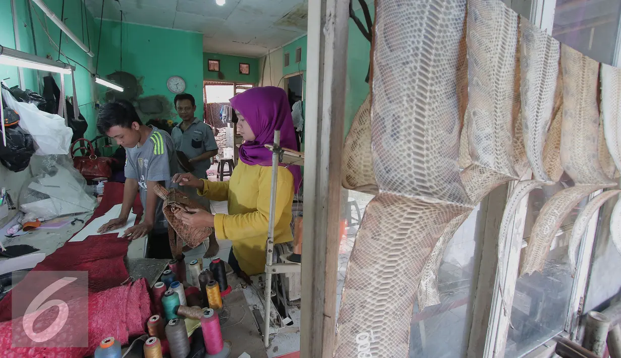 Pengunjung melihat tas berbahan dasar kulit ular di bengkel kerja di Cibitung, Jawa Barat, Selasa (12/4). Produk tas tersebut di ekspor ke beberapa negara yakni Singapura, korea dan rusia dll. (Liputan6.com/Angga Yuniar)