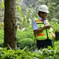 PT Bukit Asam Tbk (PTBA) konsisten mengelola lingkungan.