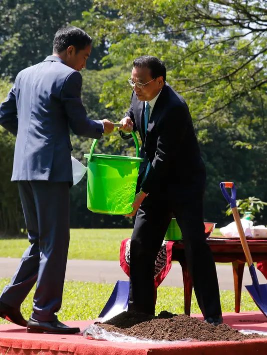 Presiden Jokowi bersama PM China Li Keqiang menyiram pohon kamper yang baru mereka tanam di halaman belakang Istana Bogor, Senin (7/5). Penanaman pohon itu sebagai tanda persahabatan kedua negara yang semakin tumbuh dan berkembang. (AFP/POOL/BEAWIHARTA)
