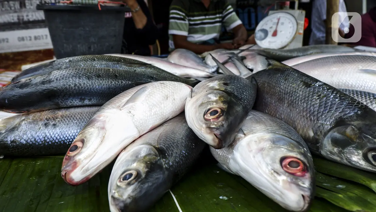 FOTO: Jelang Imlek, Pedagang Ikan Bandeng Mulai Bermunculan di Rawa Belong