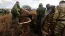 Petugas memasang radio satelit pada gajah liar di Amboseli National Park, Kenya (2/11). Pemasangan radio satelit untuk mempermudah pelacakan gajah liar serta mengendalikan perburuan liar. (REUTERS/Thomas Mukoya)