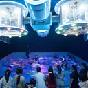 Bersenang-senang di Wonderlab, Uji Adrenalin di Perosotan Mekatronik