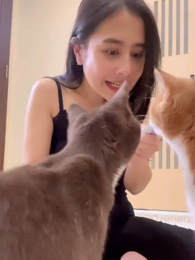 Dulu Sempat Takut, Ini 7 Potret Prilly Latuconsina Adopsi Kucing Imut Bernama Mochi