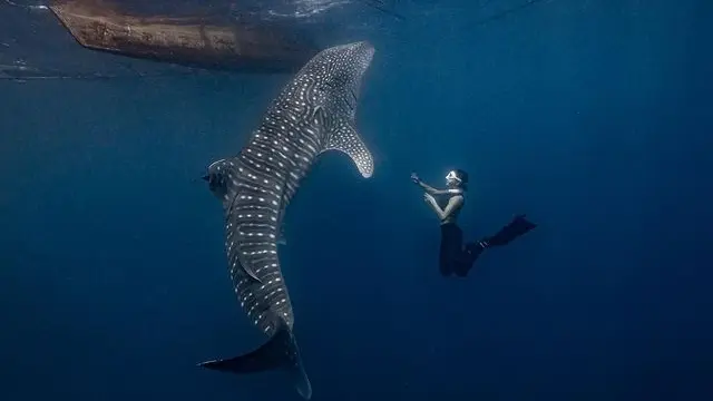 Gisella Anastasia (Instagram/gisel_la)