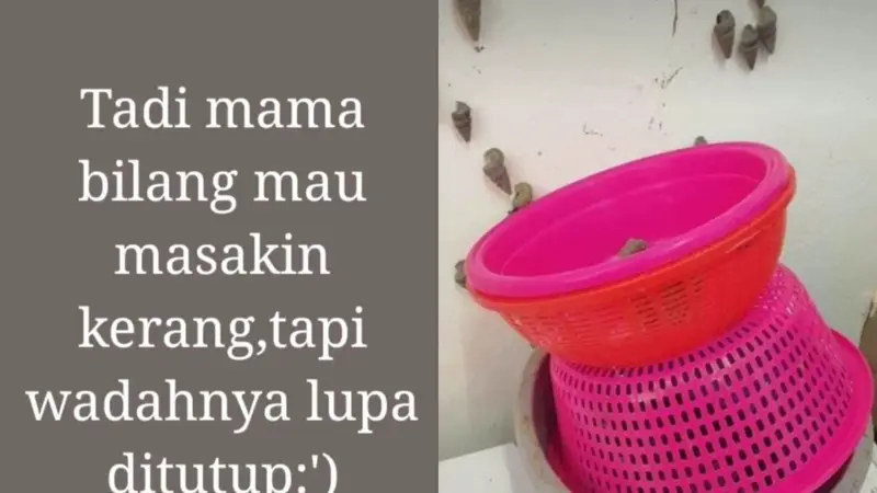 Beberapa siput berhasil lolos dari maut