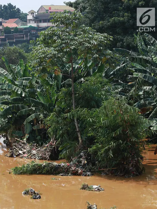 Aliran Sungai Ciliwung yang meluap di kawasan Pejaten Timur, Jakarta, Jumat (26/4). Banjir kiriman melalui Sungai Ciliwung yang berasal dari Bogor tersebut mengakibatkan sejumah wilayah di Ibukota terendam banjir. (Liputan6.com/Immanuel Antonius)