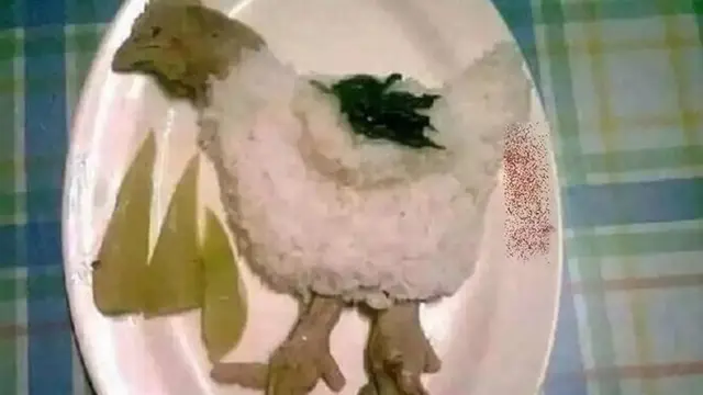 6 Potret Ayam dari Nasi Ini Nyeleneh, Menu Anak Kos di Akhir Bulan