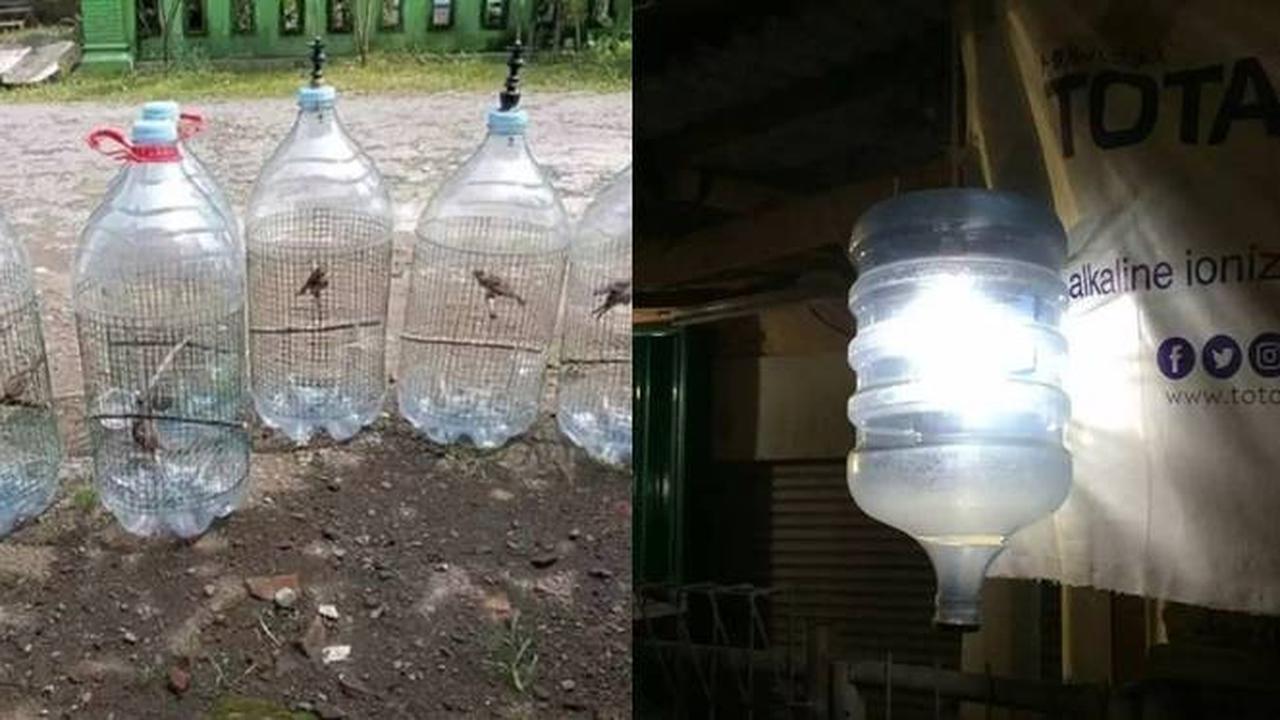 7 Potret Nyeleneh Alih Fungsi Galon Air Ini Kreatif Banget, Jadi Kandang Burung