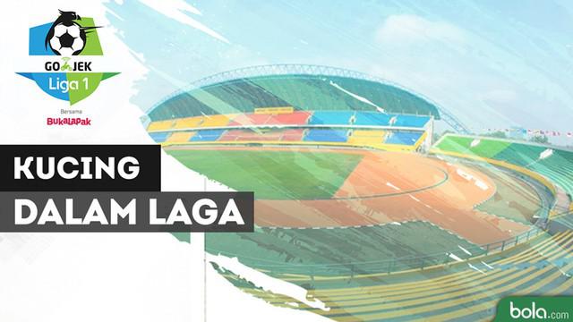 Salah satu momen menarik dari laga kemenangan Sriwijaya FC atas Persib Bandung di Liga 1 2018 yaitu kehadiran kucing yang ikut berlari di dalam lapangan. Seperti apa aksi kucing tersebut?