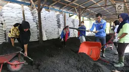 Pekerja dari kelompok tani mekar jaya binaan PT Wirakarya Sakti unit forestry APP Sinarmas menyelesaikan pembuatan pupuk kompos di Kab Tanjung Jabnung Barat, Provinsi Jambi, Kamis (3/5). (Liputan6.com/Angga Yuniar)