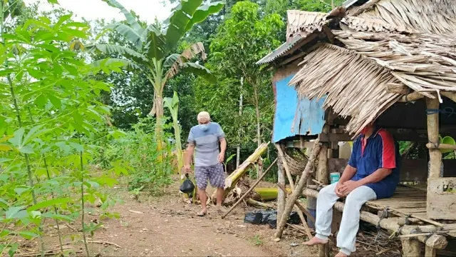 La Jara, bekerja di kebunnya selama masa isolasi mandiri, sejak Senin (6/4/2020).(Liputan6.com/Ahmad Akbar Fua)