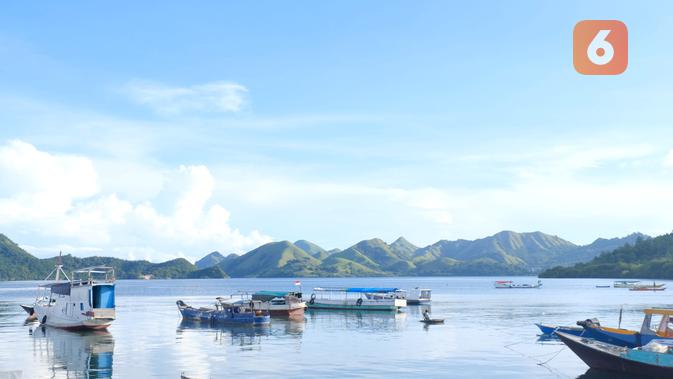 Pemandangan dari Desa Pasir Panjang, Pulau Rinca, Nusa Tenggara Timur (NTT). (Liputan6.com/Asnida Riani)