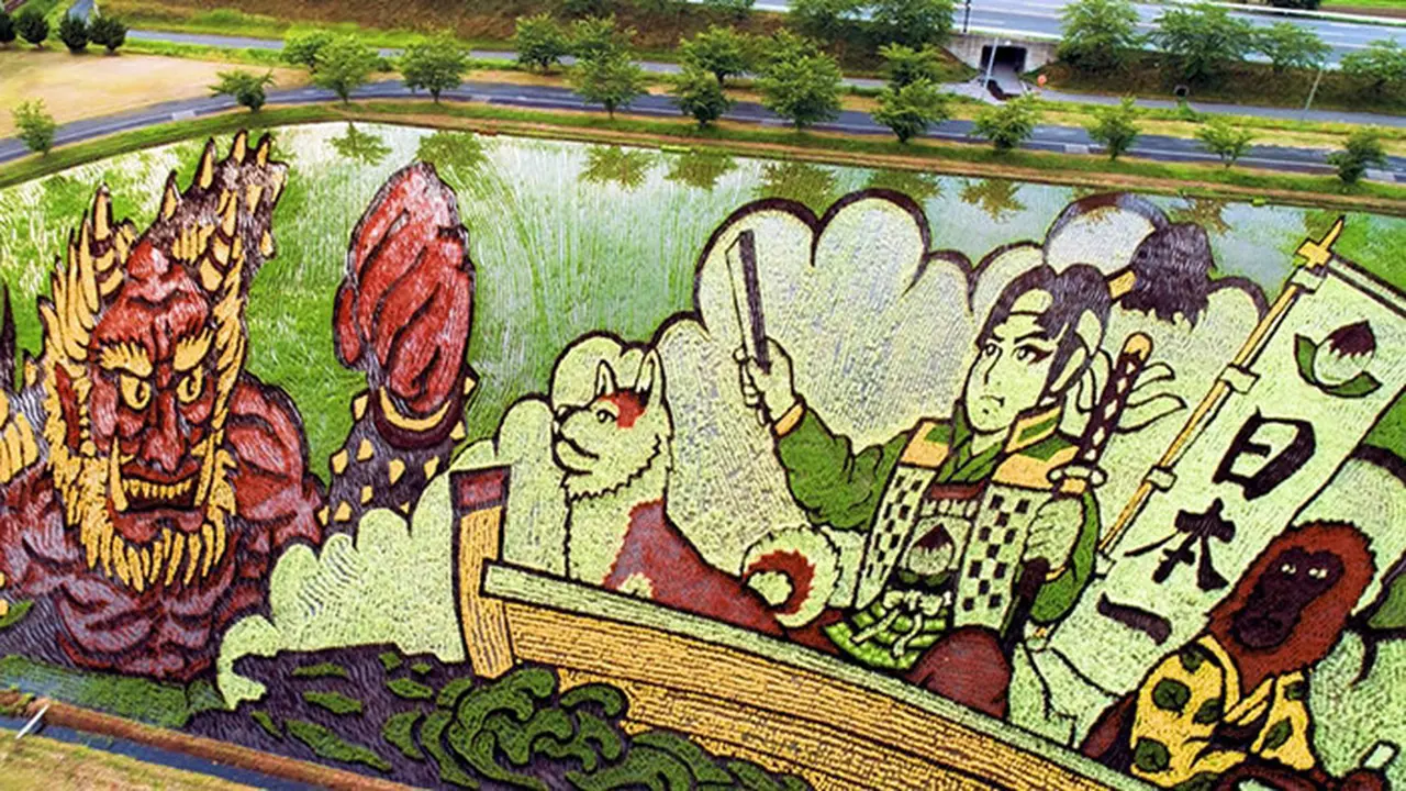 Petani Jepang Tanam Padi Khusus untuk Ciptakan Sawah Warna-warni, 4 Hasilnya Bikin Takjub
