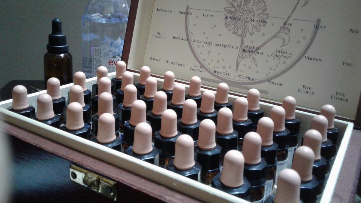Cek, Manfaat 38 Jenis Bunga dalam Bach Flower Remedies (1)