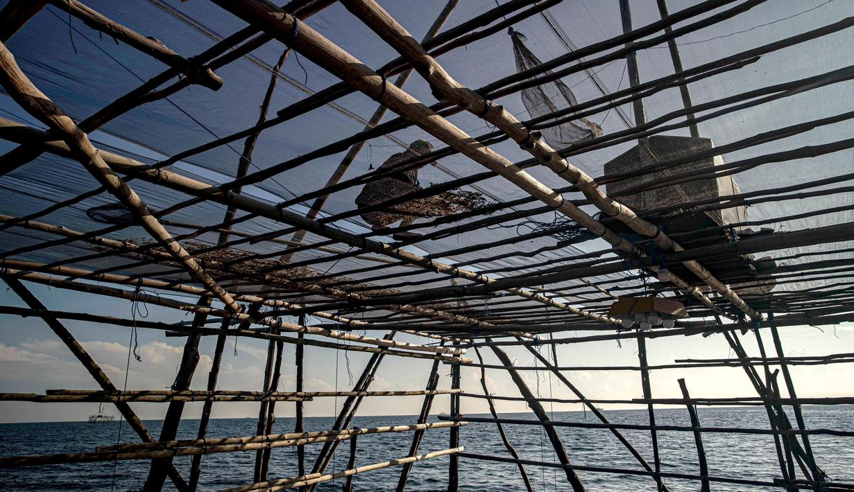 Kawasan industri yang sedang dibangun di Indonesia di pulau tropis Kalimantan telah menarik investasi baik asing maupun domestik ini merusak lingkungan di daerah tempat spesies yang terancam punah hidup dan bermigrasi. (AP Photo/Yusuf Wahil)