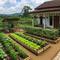 Model Kebun dan Peternakan Mini yang Bisa Jadi Penghasilan Tambahan di Rumah/ Ilustrasi gambar oleh AI