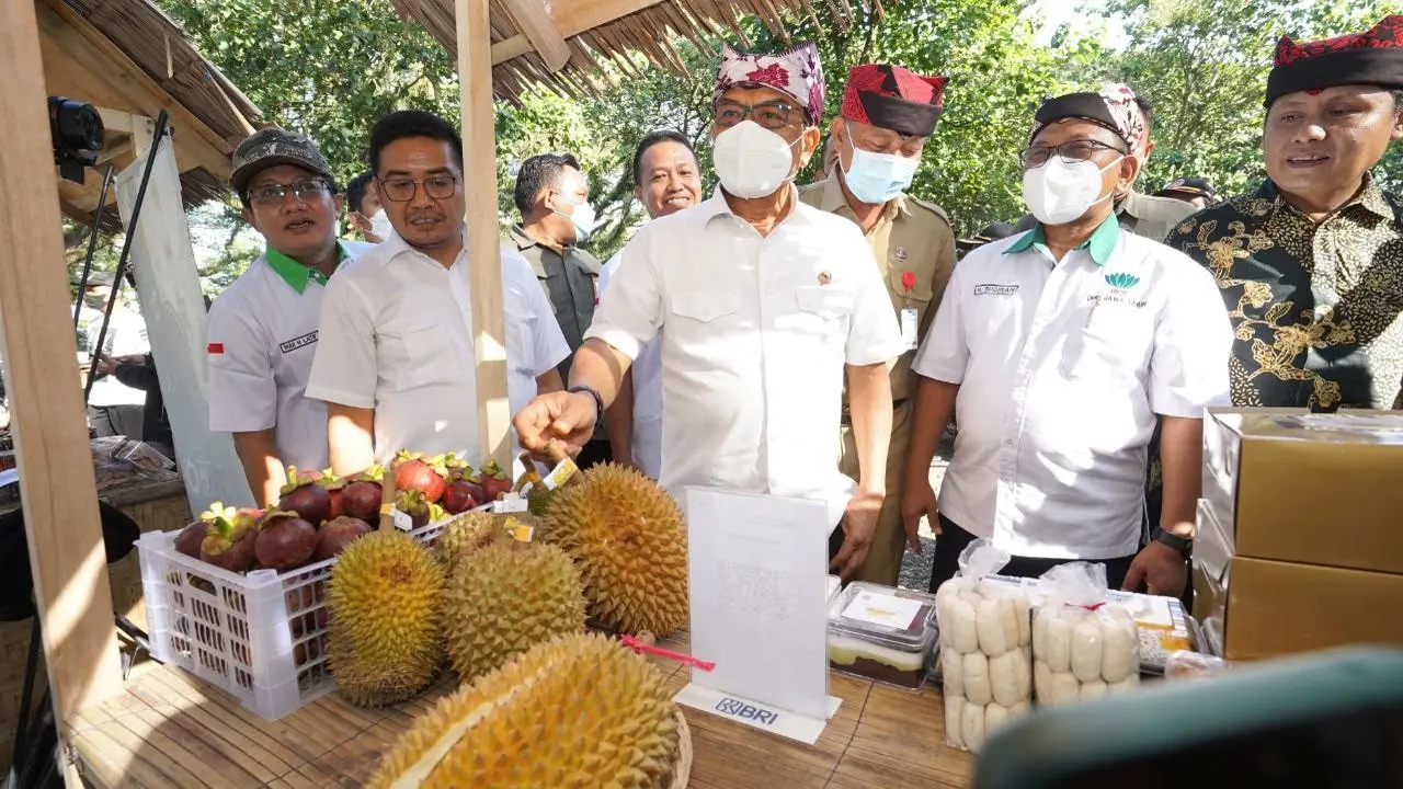 Kepala Stap Kepresidenan yang juga Ketua HKTI Moldoko meninjau pameran holtikultura di wisata Djawatan Banyuwangi (Istimewa)