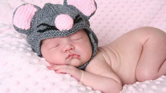 (c) shutterstock.com