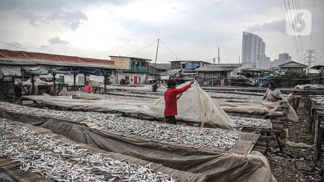 Musim Penghujan, Produksi Ikan Asin Alami Penurunan