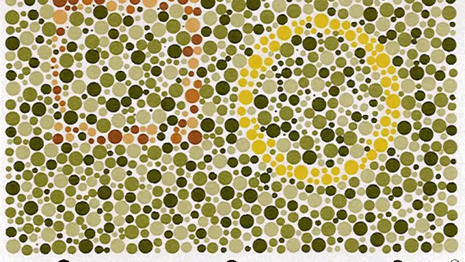 Yuk, Tes Buta Warna Melalui 7 Gambar Berikut Ini!