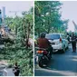 Perantingan Pohon di Surabaya (Sumber: Instagram/surabaya)