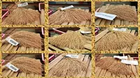 Varietas Unggul Padi Hasil Mutasi Radiasi