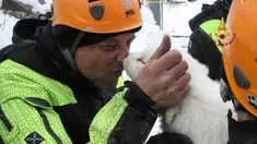 Seorang petugas pemadam kebakaran Italia mencium anak anjing yang selamat dari reruntuhan Hotel Rigopiano di Farindola, Italia (23/1). Sebelumnya, longsoran salju telah melanda Hotel Rigopiano di Kota Farindola. (Fabio Gatto/ Vigili Del Fuoco / AFP)