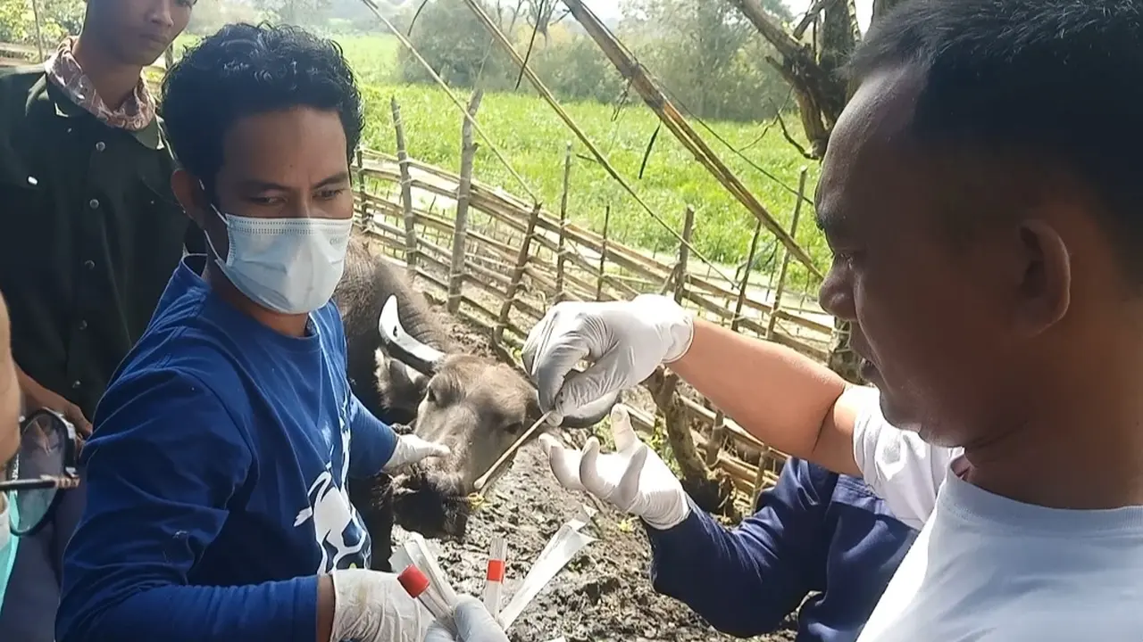 Dinas Peternakan Kabupaten Tulangbawang