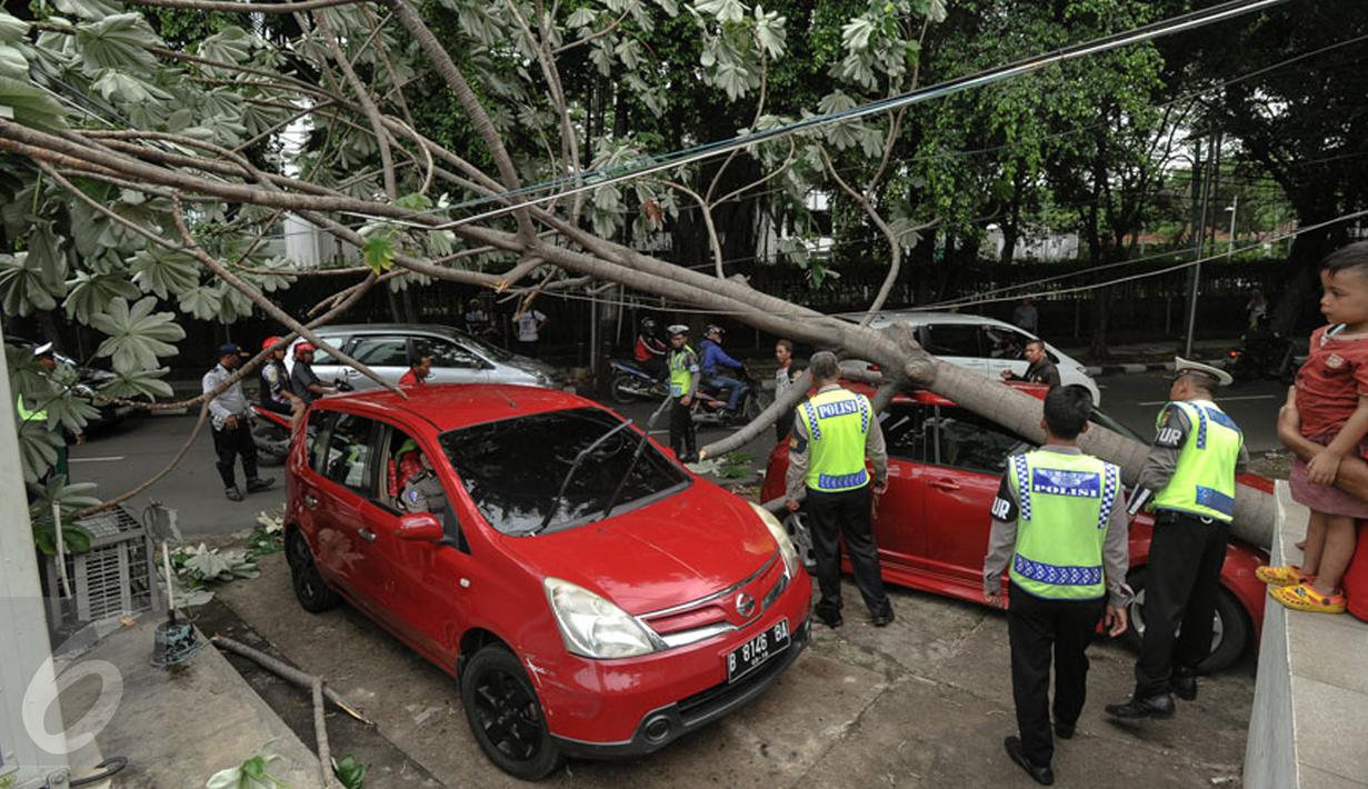 Petugas dibantu warga mengevakuasi pohon tumbang yang menimpa dua mobil yang terparkir di sebelah Pos Polisi Bundaran HI, Jakarta, Selasa (15/12). Tak ada korban jiwa akibat tumbangnya pohon yang disebabkan angin kencang itu. (Liputan6.com/Faizal Fanani)