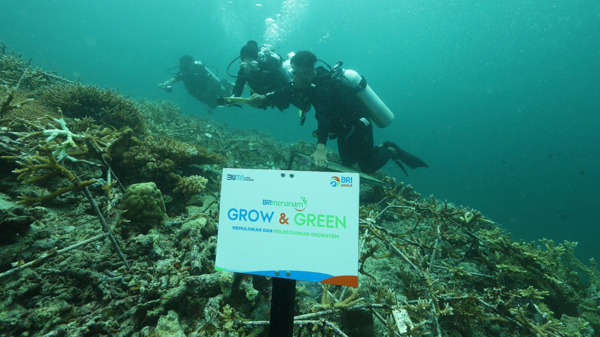 Jaga Kelestarian Ekosistem Laut, BRI Menanam - Grow &amp; Green Dilakukan di Pulau Maratua
