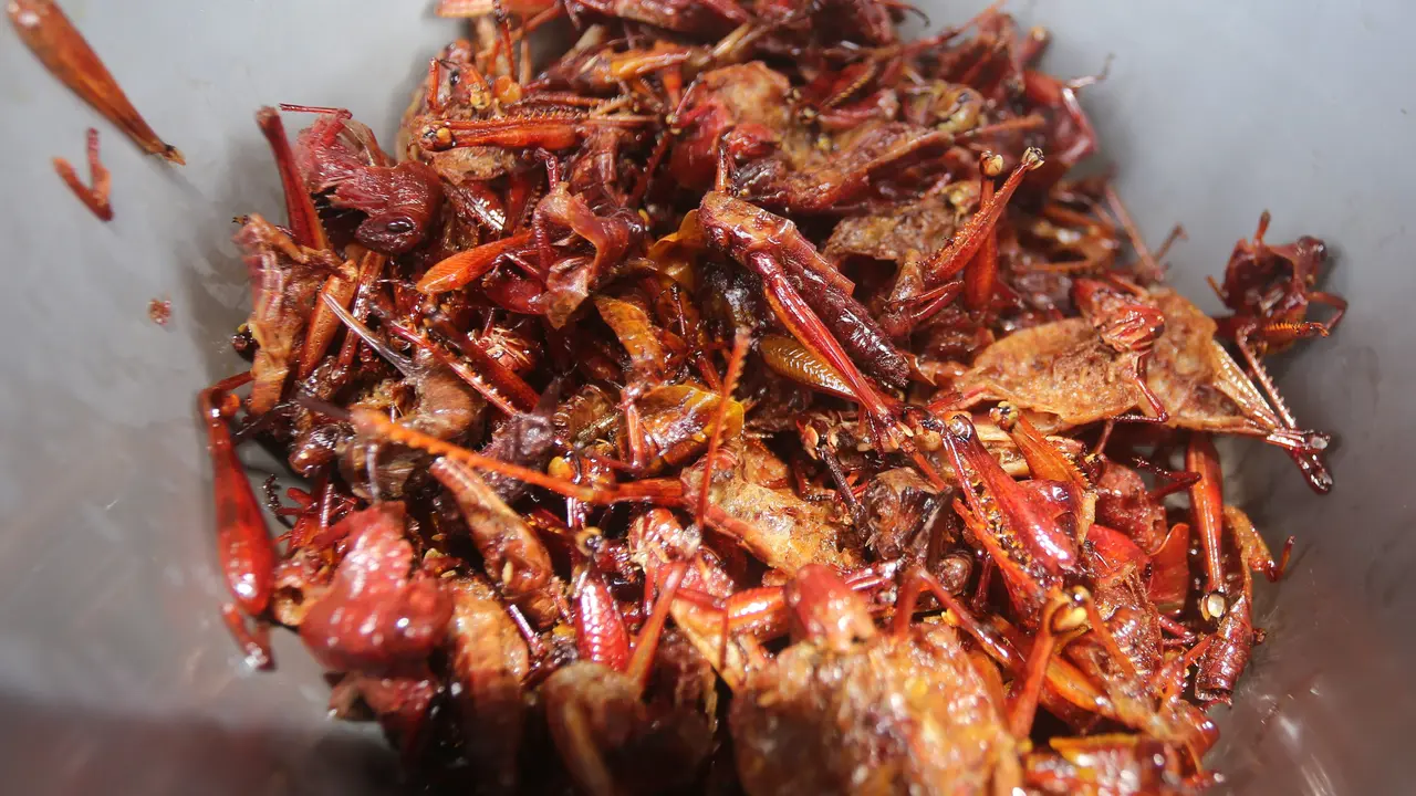 5 Makanan Khas yang Patut Dicicipi Saat Berwisata ke Gunungkidul Yogyakarta
