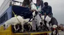 Pedagang Pakistan menurunkan ternak mereka dari truk di sebuah pasar yang disiapkan untuk Idul Adha di Lahore, Minggu (12/8). Umat Islam di seluruh dunia akan merayakan Hari Raya Idul Adha yang identik dengan tradisi berkurban. (AP/K.M. Chaudary)
