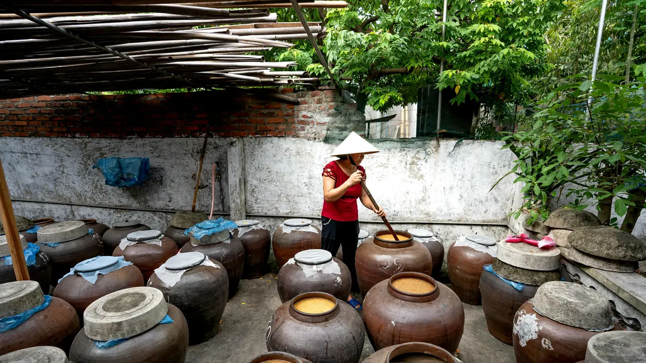 Makanan Fermentasi