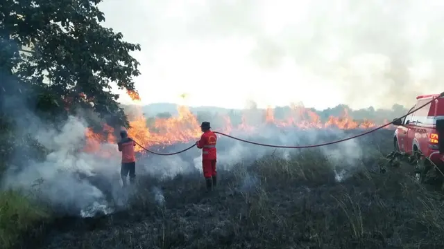 Kisah Para Penantang Maut di Taman Nasional Bombana