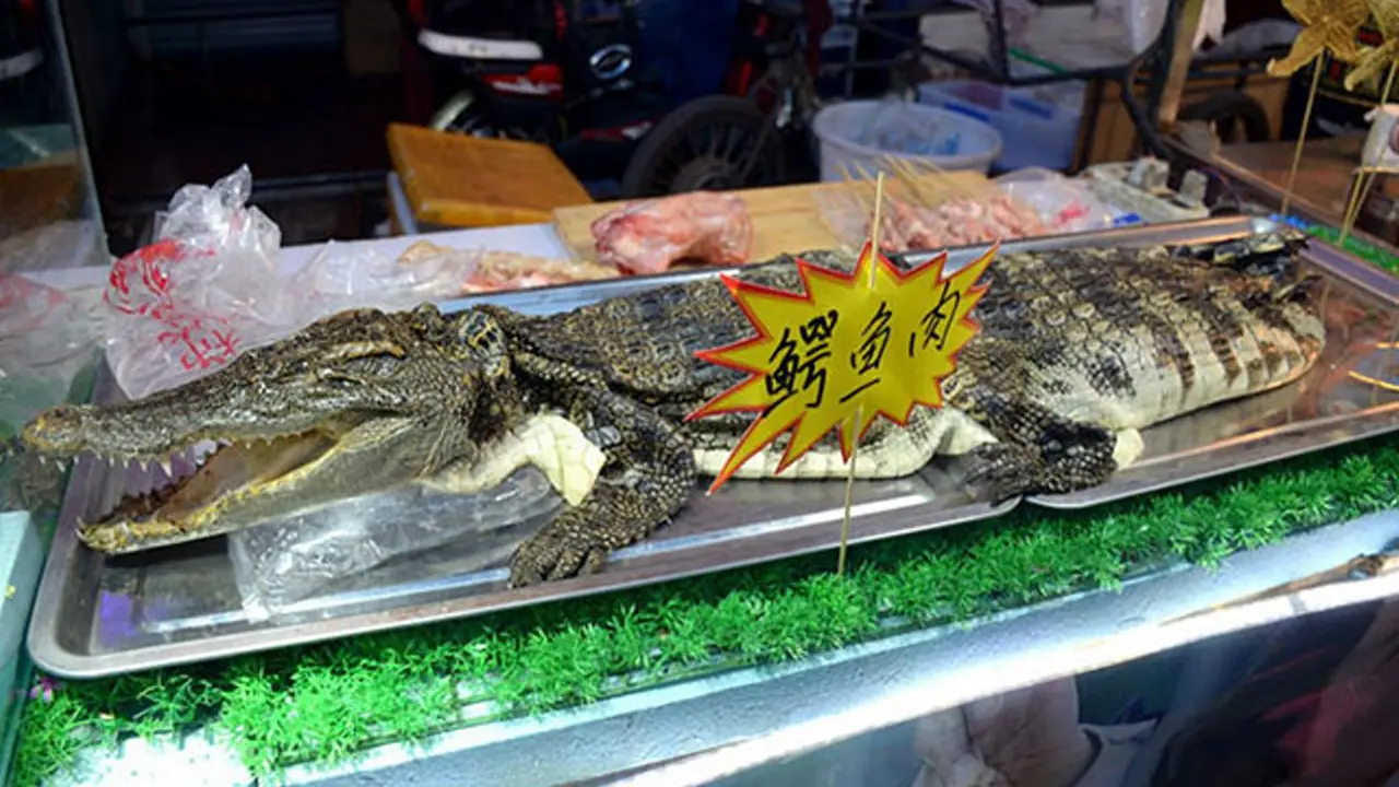 Kedai di Tiongkok Ini Jual Sate Daging Buaya, Berani Coba?