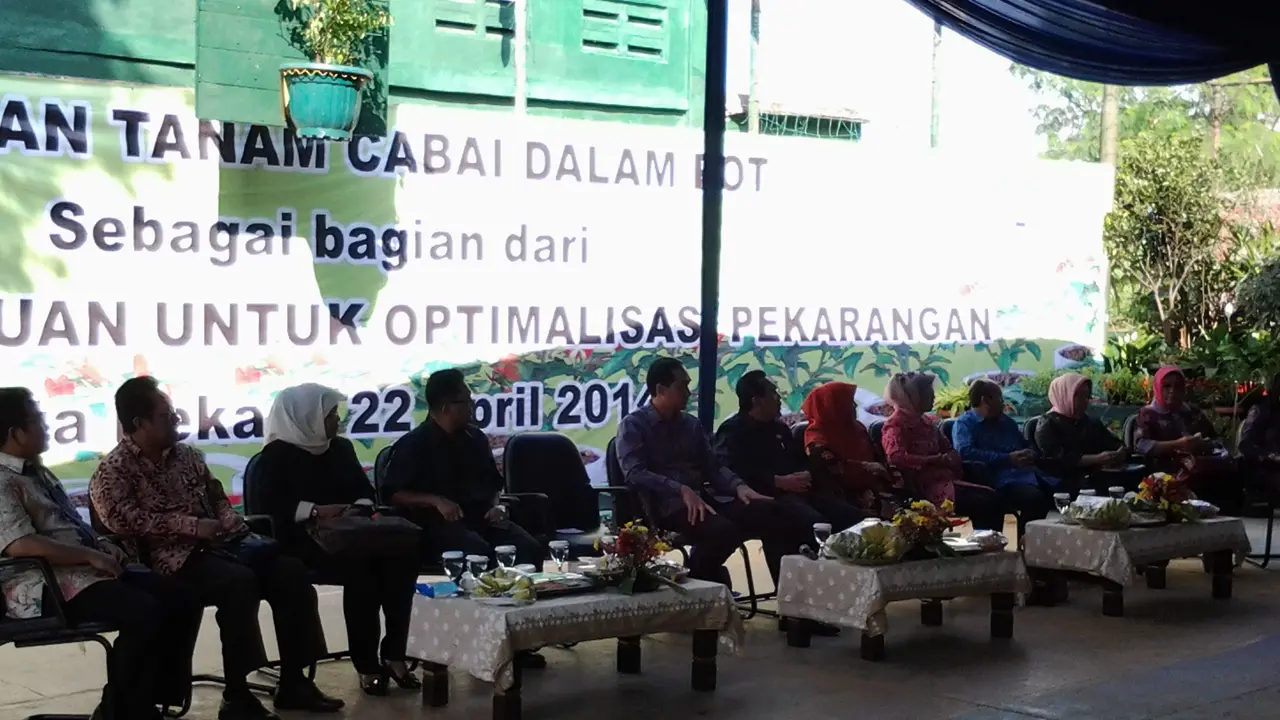Tanam Cabai