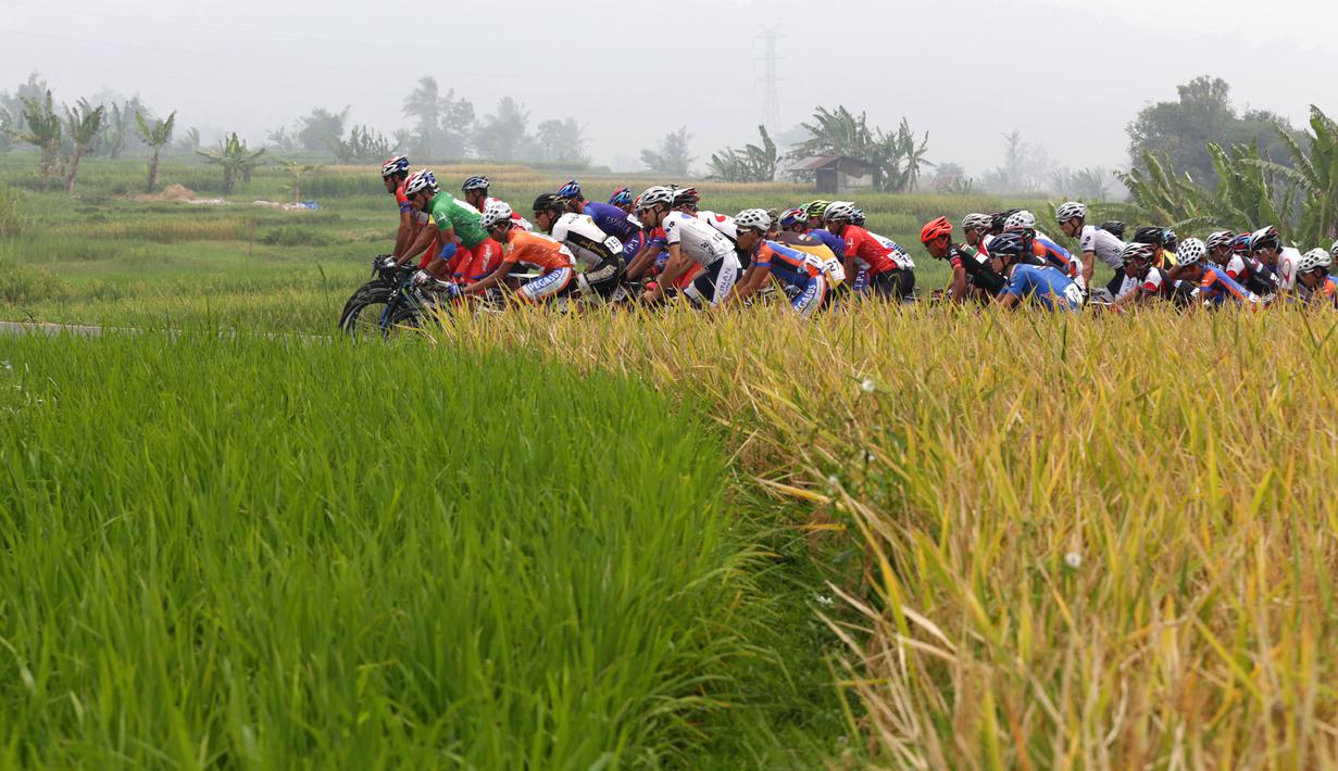 Para pebalap melewati persawahan di Padang Panjang dalam Etape 9 Tour de Singkarak 2015 dari Padang Panjang menuju Padang, Sumatra Barat, Minggu (11/10/2015). (Bola.com/Arief Bagus)