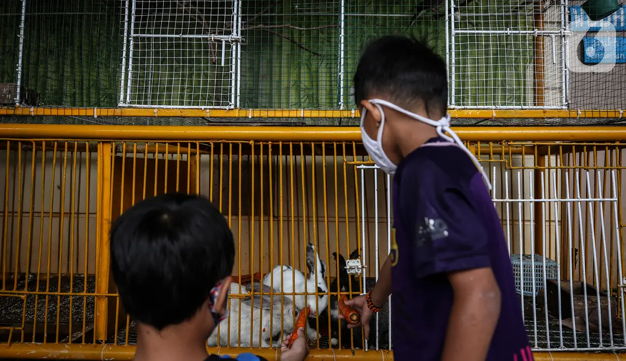 Anak-anak memberi makan hewan di ruang edukasi anak di halaman Kantor Kelurahan Karet, Jakarta Selatan, Selasa (30/3/2021). Adanya spot foto bertema go green dan kolam terapi ikan menambah daya tarik ruang edukasi anak tersebut. (Liputan6.com/Johan Tallo)