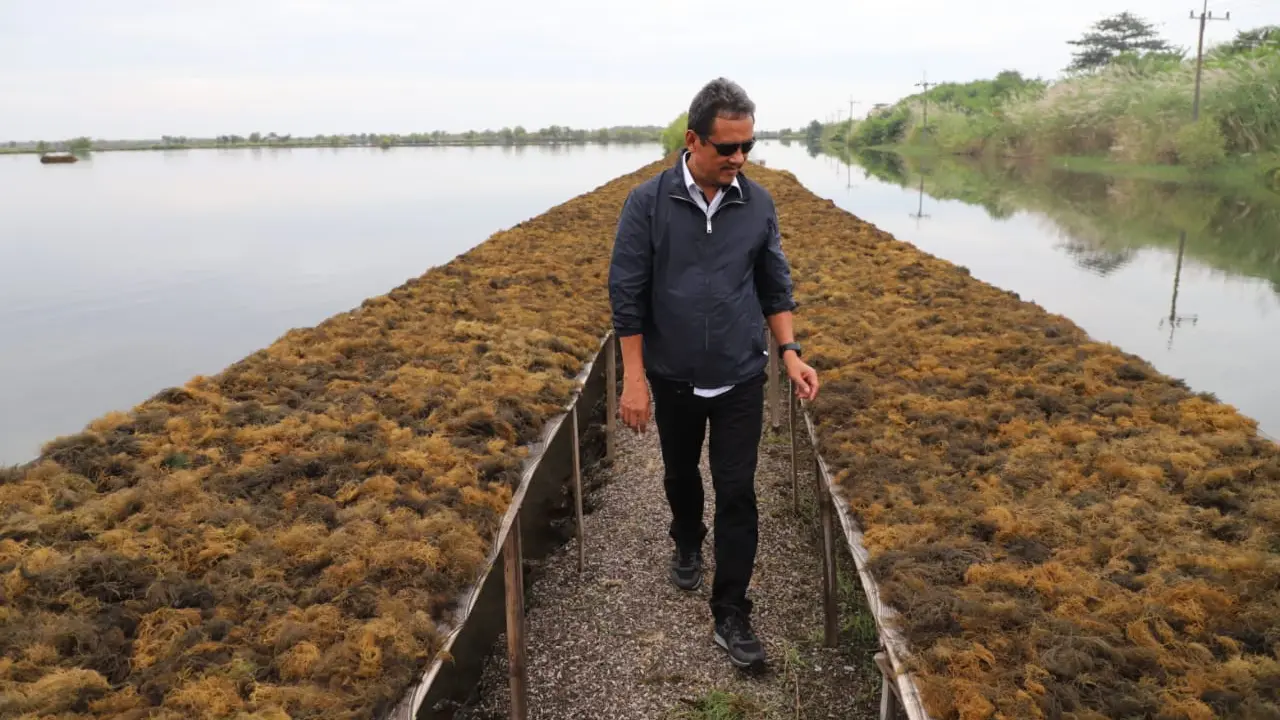 Pencemaran di Teluk Bima. (Foto: Liputan6.com/KKP)