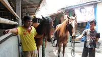 Kuda Poni Penarik Kereta Kencana Jokowi Diboyong dari Solo