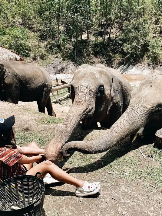 <p>Jalan-jalan melihat gajah di cuaca tropis, Ziva memberi sentuhan lokal dengan pakaian khas negara yang dikunjungi. [Foto: @zivamagnolya]</p>