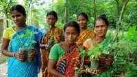 Sebuah desa di India bernama Piplantri melakukan sebuah tradisi menanam ratusan pohon untuk memperingati kelahiran bayi perempuan.