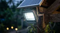 20 Rekomendasi Lampu Solar untuk Kebun Sayur dan Tanapan Pekarangan Best Seller