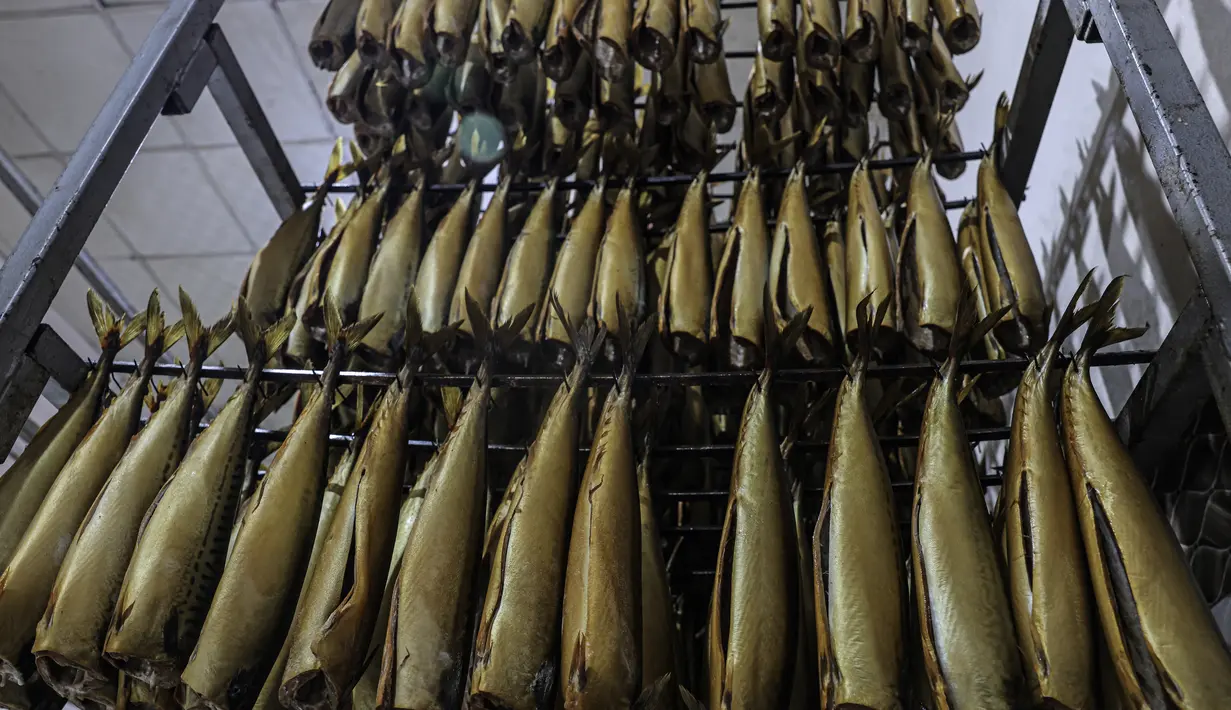 Gambar ini menunjukkan ikan yang baru diasapi di sebuah pabrik di Rafah di Jalur Gaza selatan pada 9 April 2023 untuk dijual di pasar menjelang liburan Idul Fitri yang menandai berakhirnya bulan puasa Ramadhan. (Photo by SAID KHATIB / AFP)