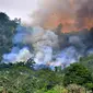 Kebakaran Hutan dan Lahan (Karhutla) di wilayah Provinsi Kalimantan Selatan. (Liputan6.com/Aslam Mahfuz)