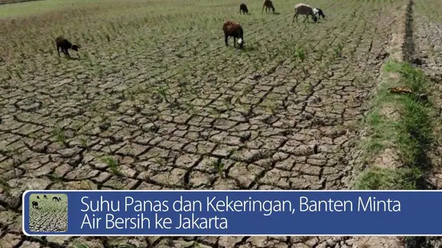 Daily TopNews hari ini akan menyajikan berita seputar Banten yang meminta air bersih ke Jakarta karena sedang mengalami suhu panas dan kekeringan, dan Rupiah yang melemah, apakah jadi berkah atau musibah untuk RI? Simak berita lengkapnya di video ber...