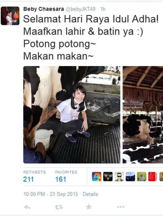 Beby JKT48 berpose bersama seekor sapi. Kira-kira sapi lucu tersebut akan dikurbankan tidak? (via twitter/@bebyJKT48)