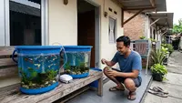 9 Ternak Hewan Mini di Ember untuk Perantau yang Tinggal di Kontrakan Petak
