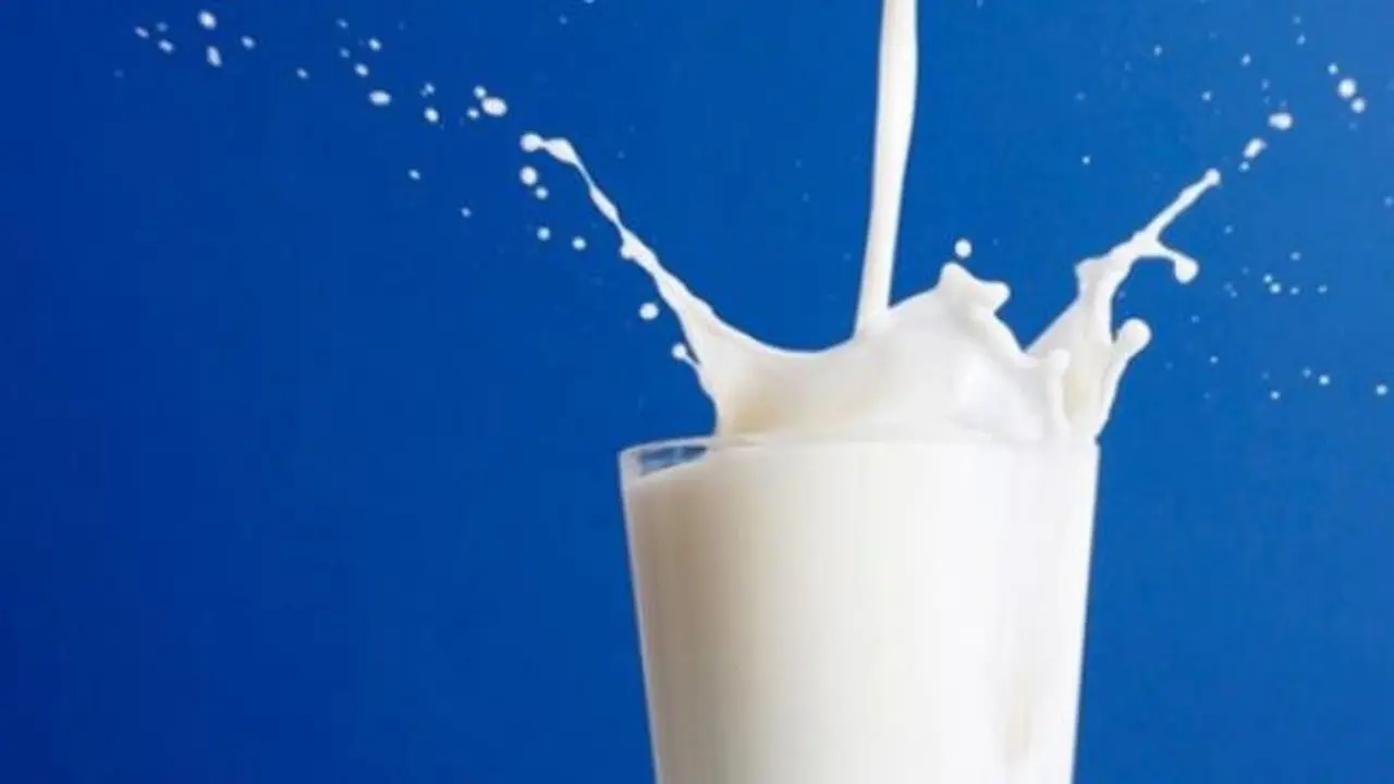 Susu Murni